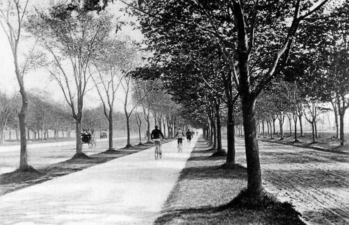 Bay Parkway history 1892 renaming