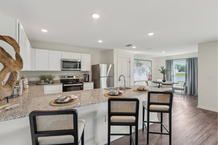 Belleview new construction subdivision