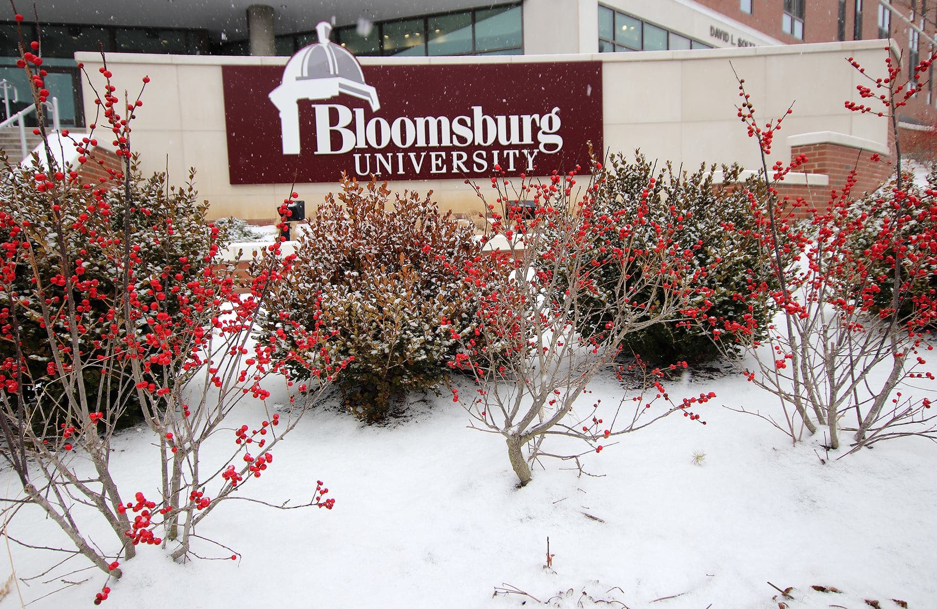 Bloomsburg price comparison chart
