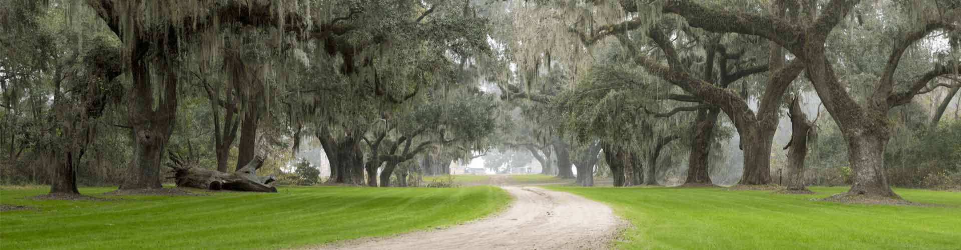 Blythewood population growth