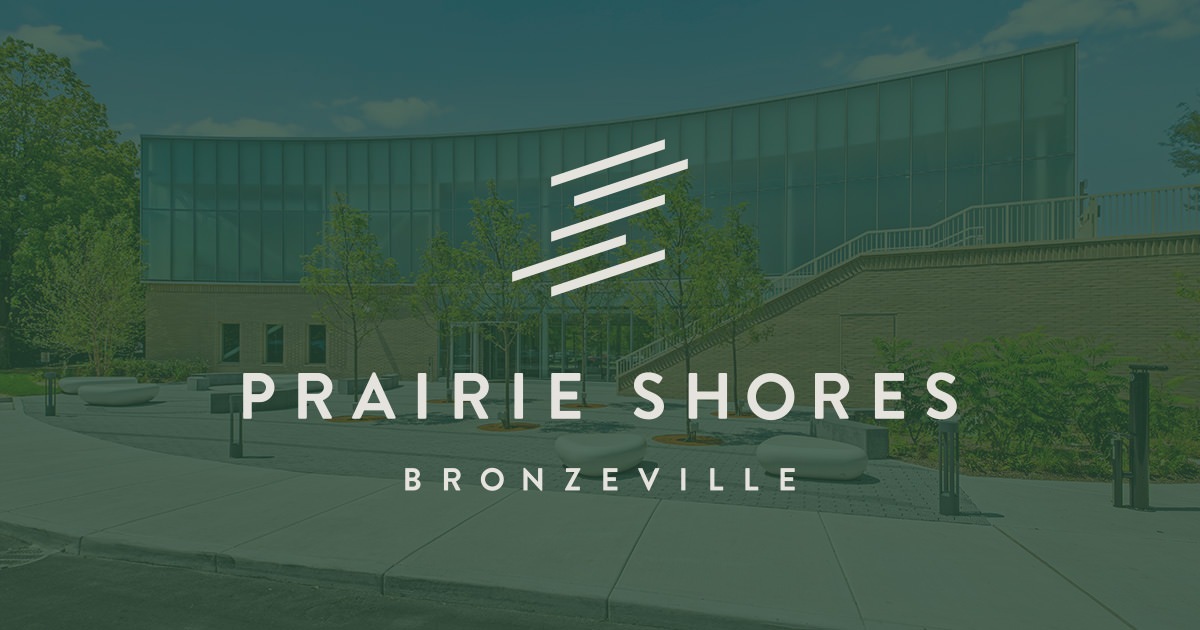 Bronzeville neighborhood map
