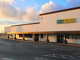 Florida Avenue Seminole Heights shops