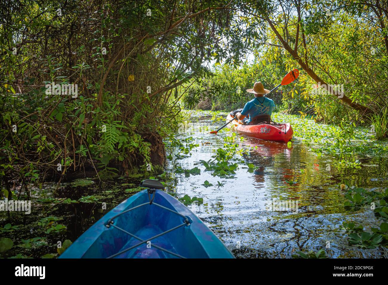 Guana reserve kayaking