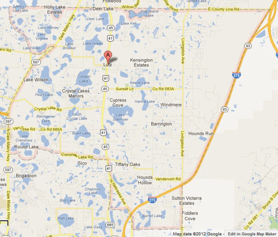 Lutz county line map