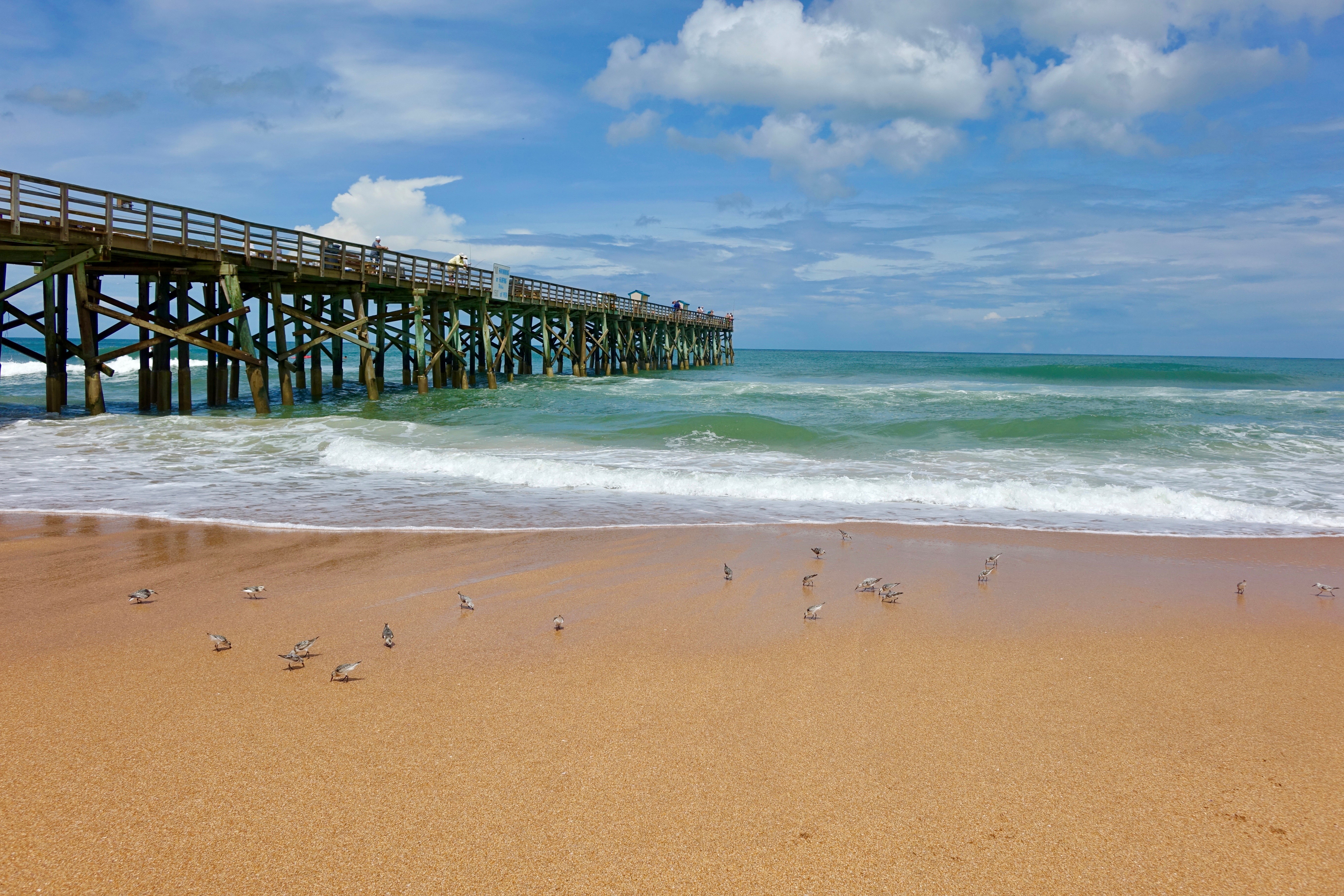 Palm Coast climate