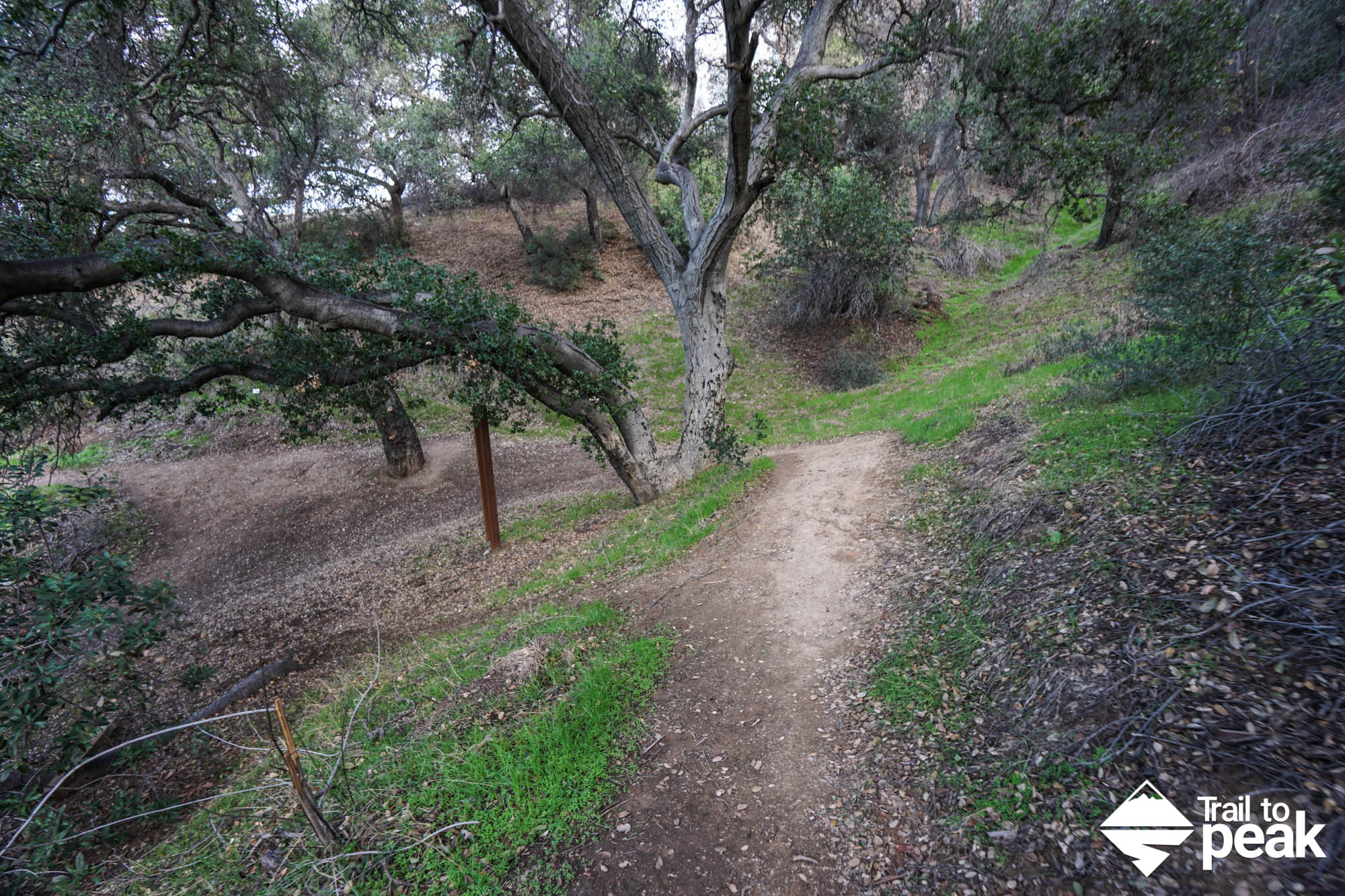 South Hills Park trail
