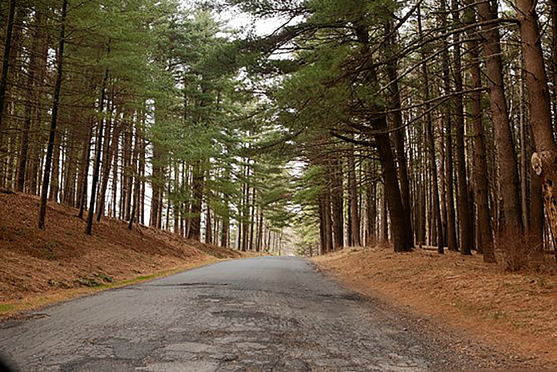 Ward Pound Ridge Reservation