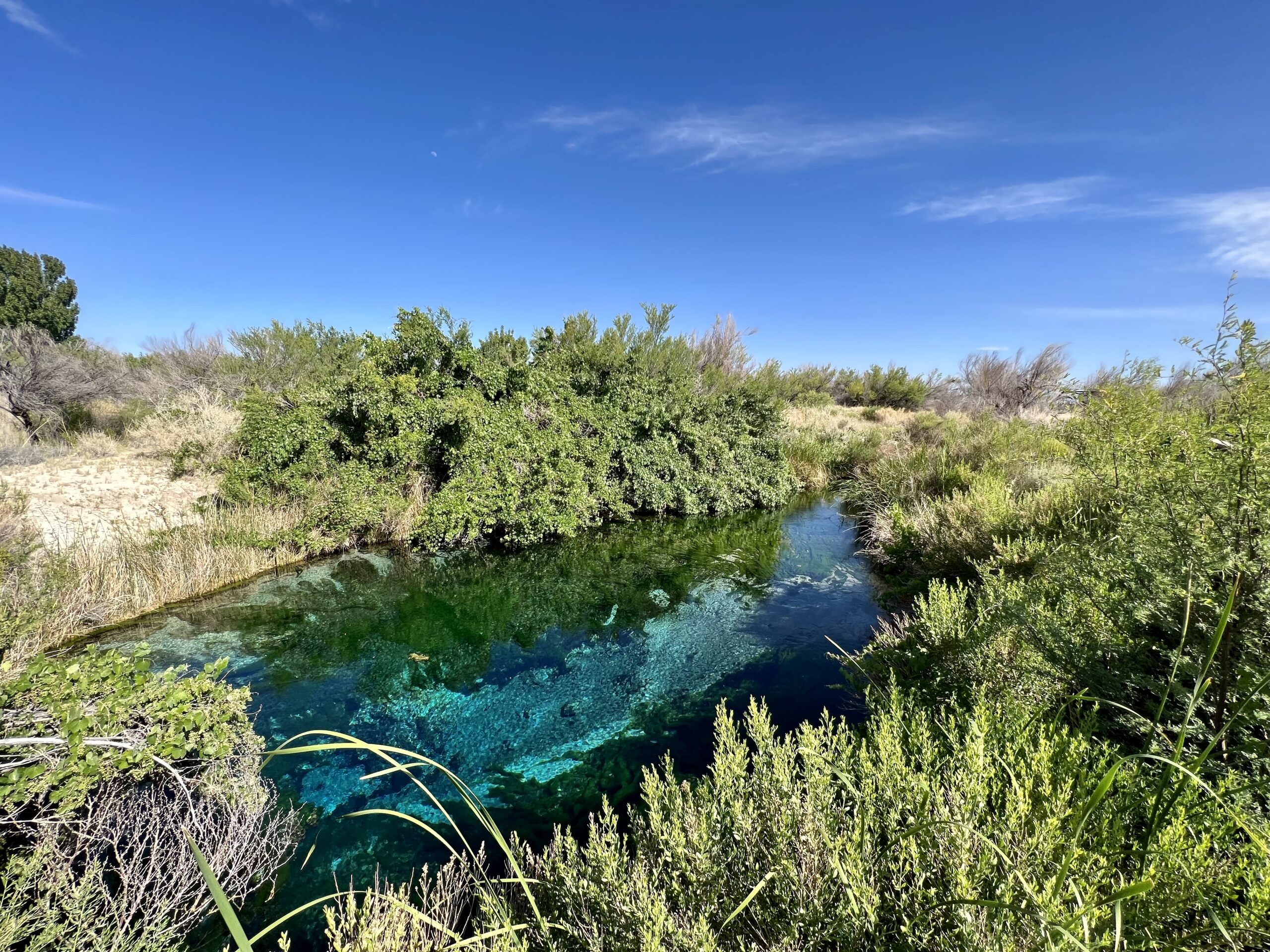 ash meadows nevada test site proximity