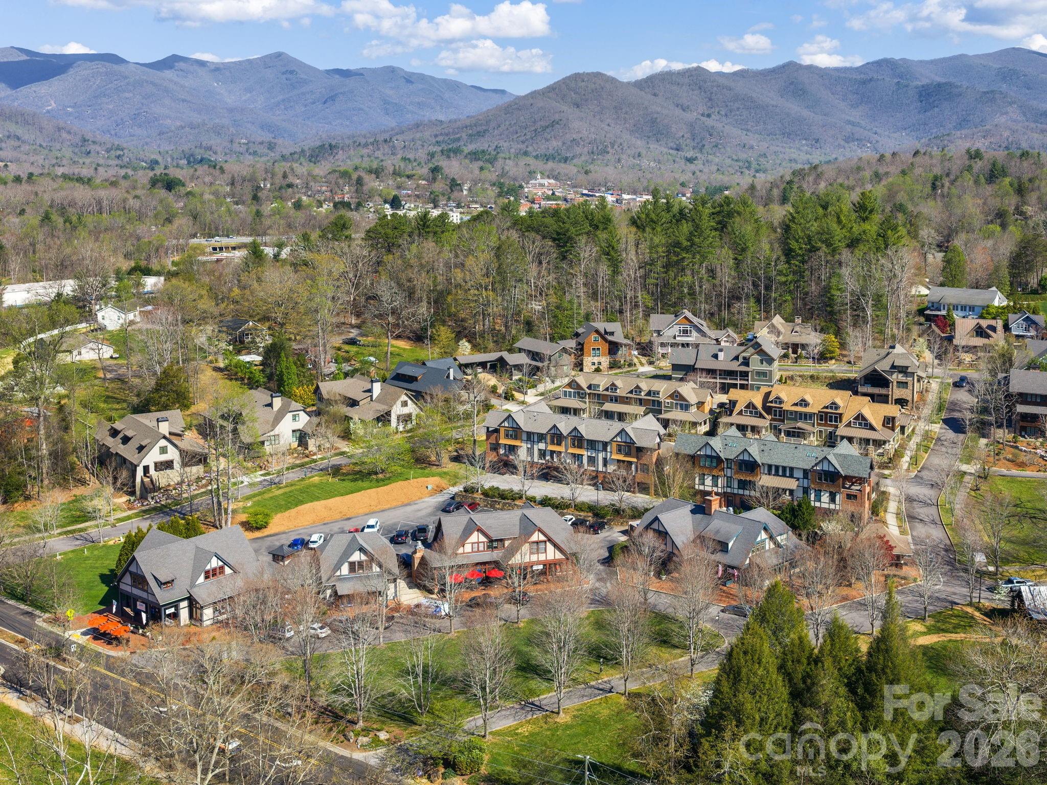 black mountain real estate agent
