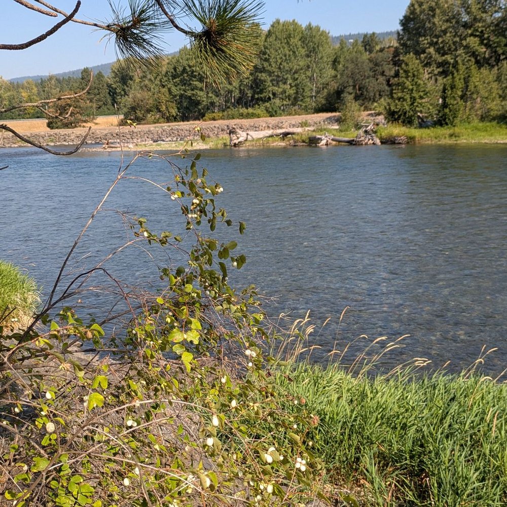 cle elum trails parks