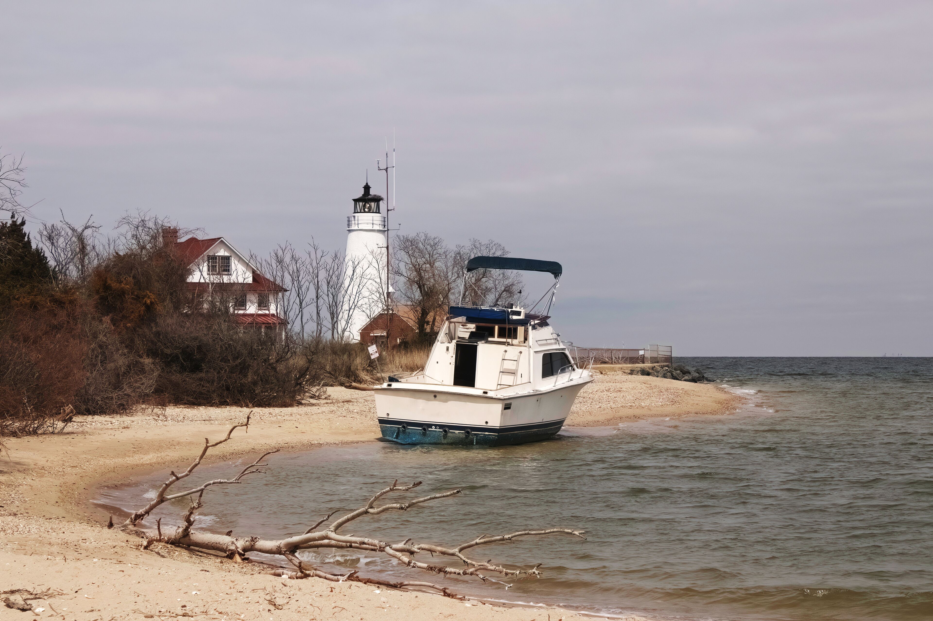 employment anchors