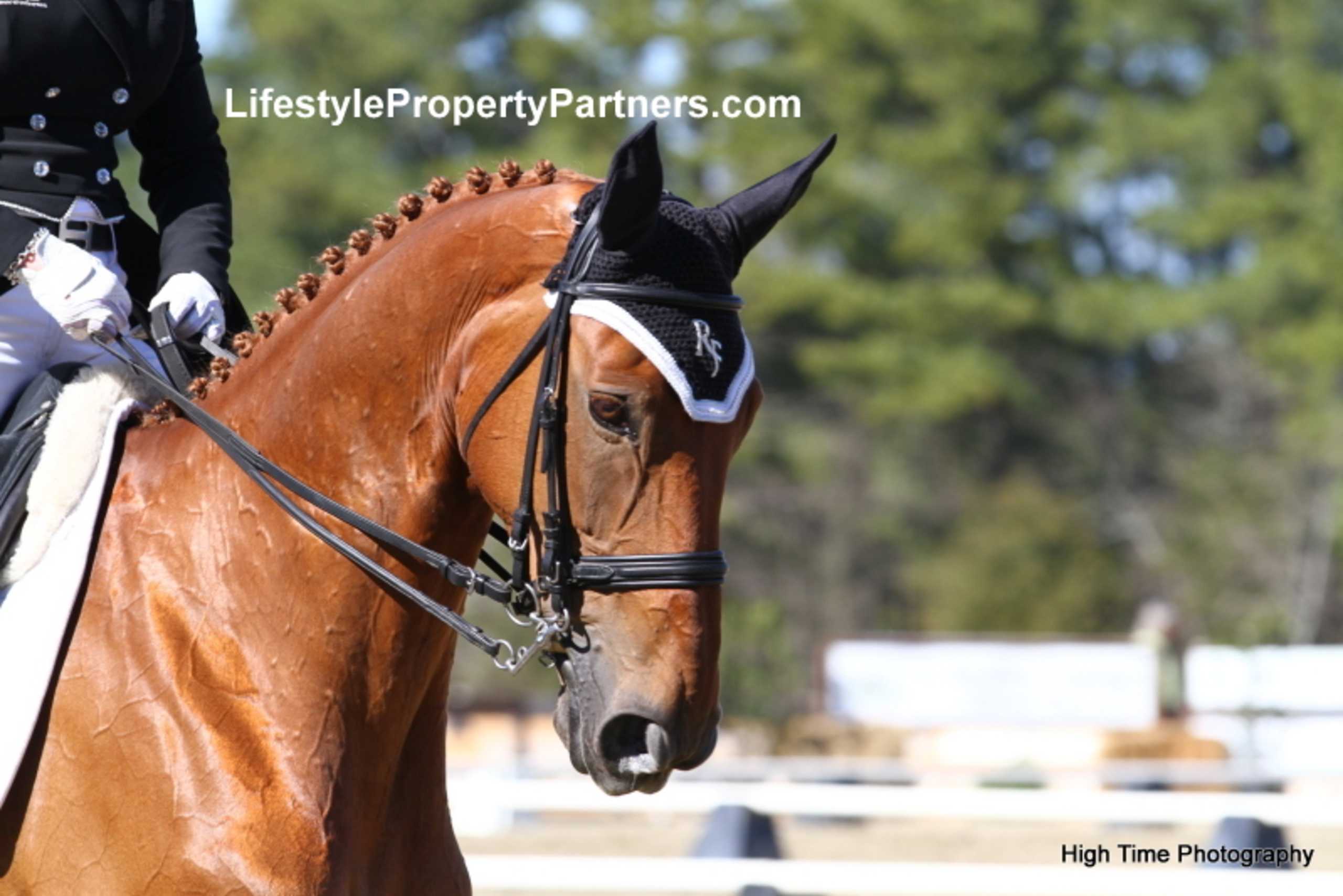 equestrian property criteria