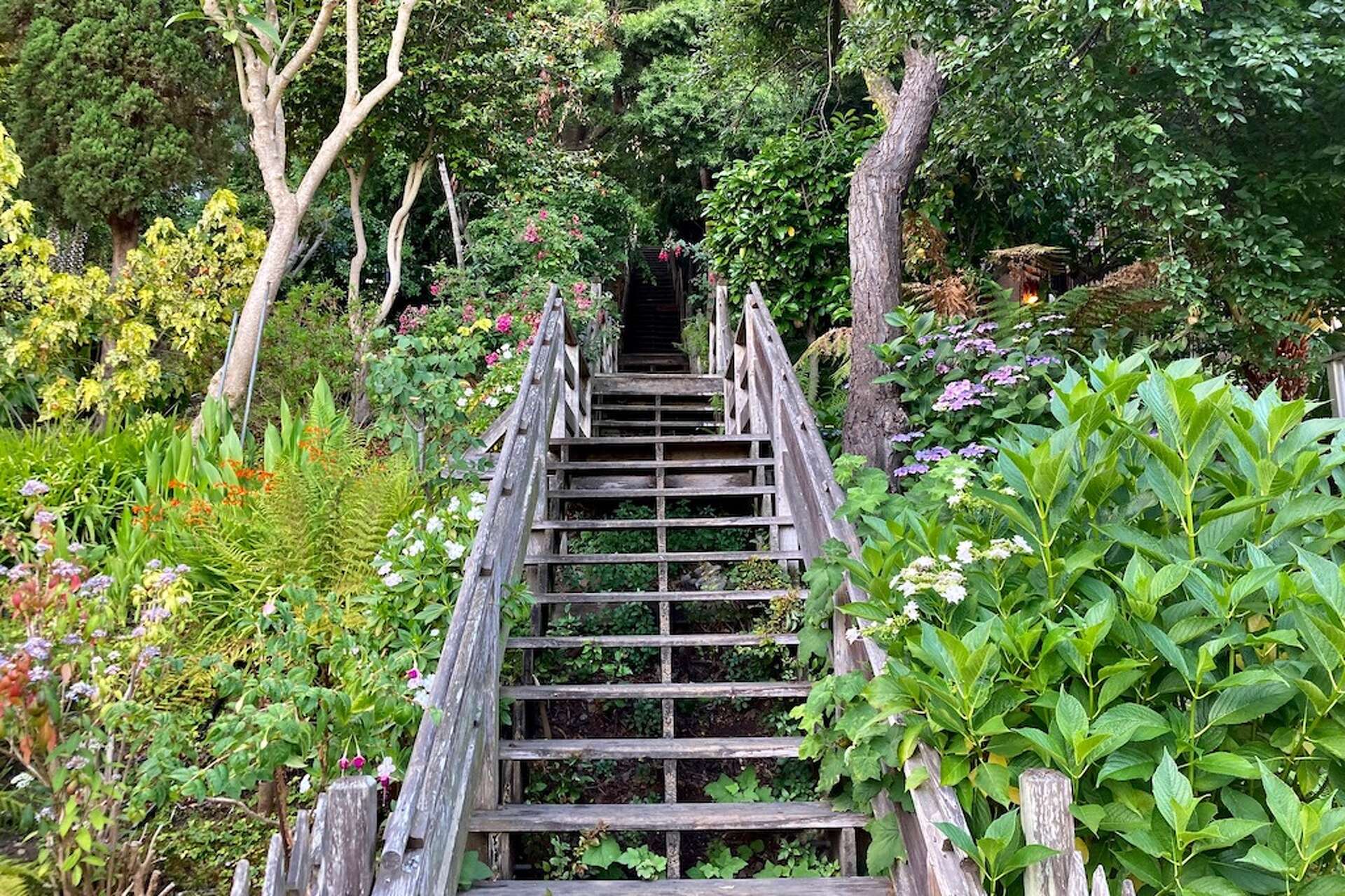 filbert steps stairs