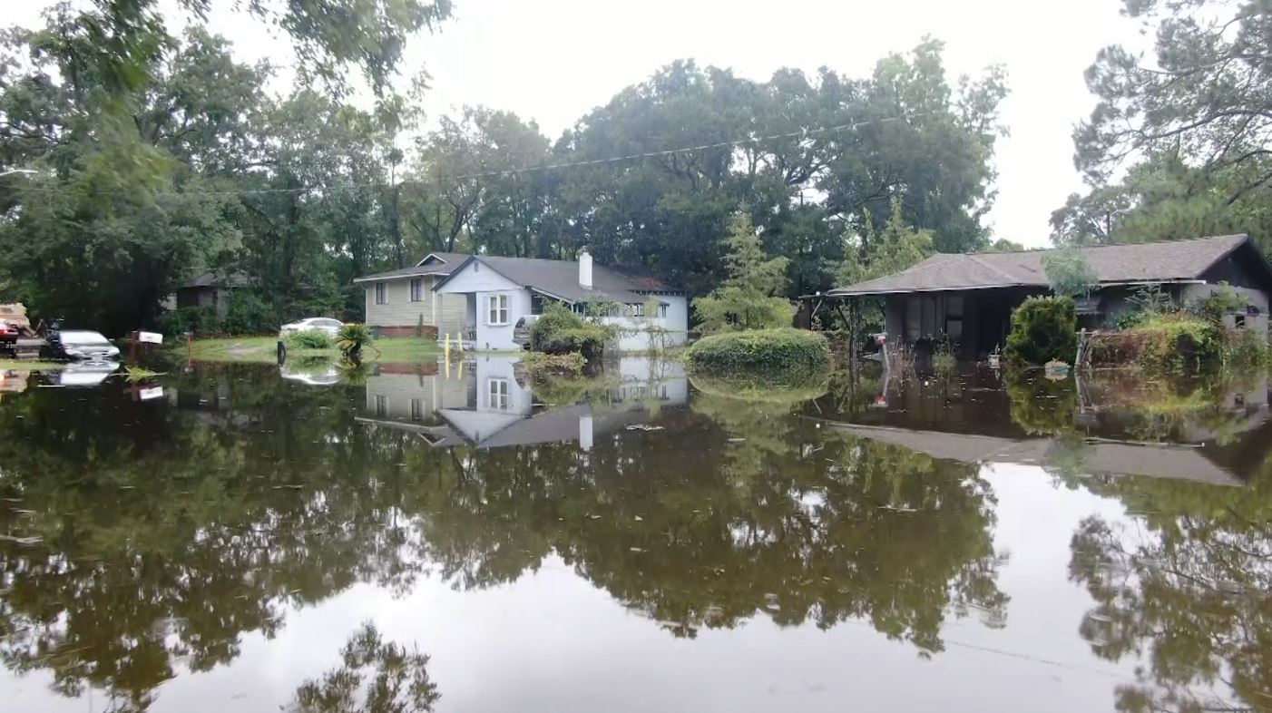 flood wind termite risk