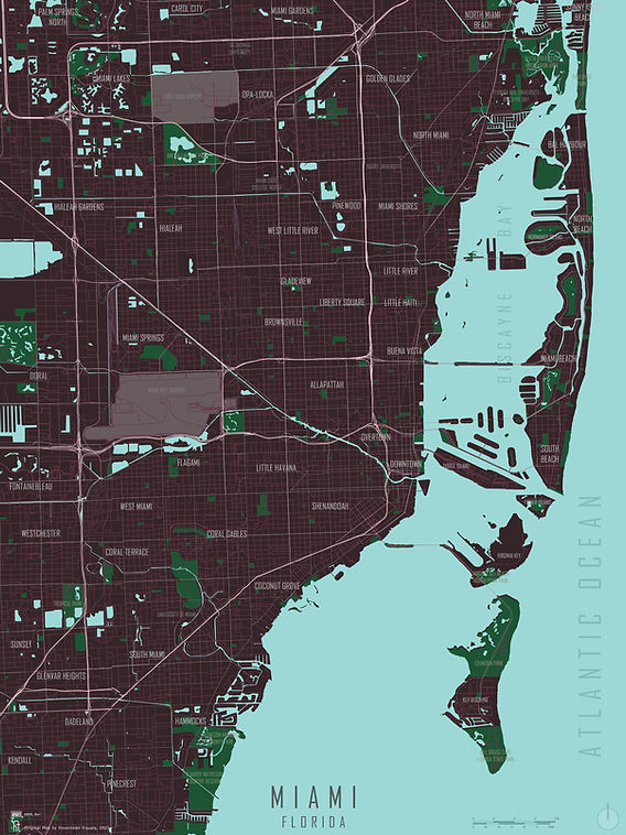 flood zone map elevation