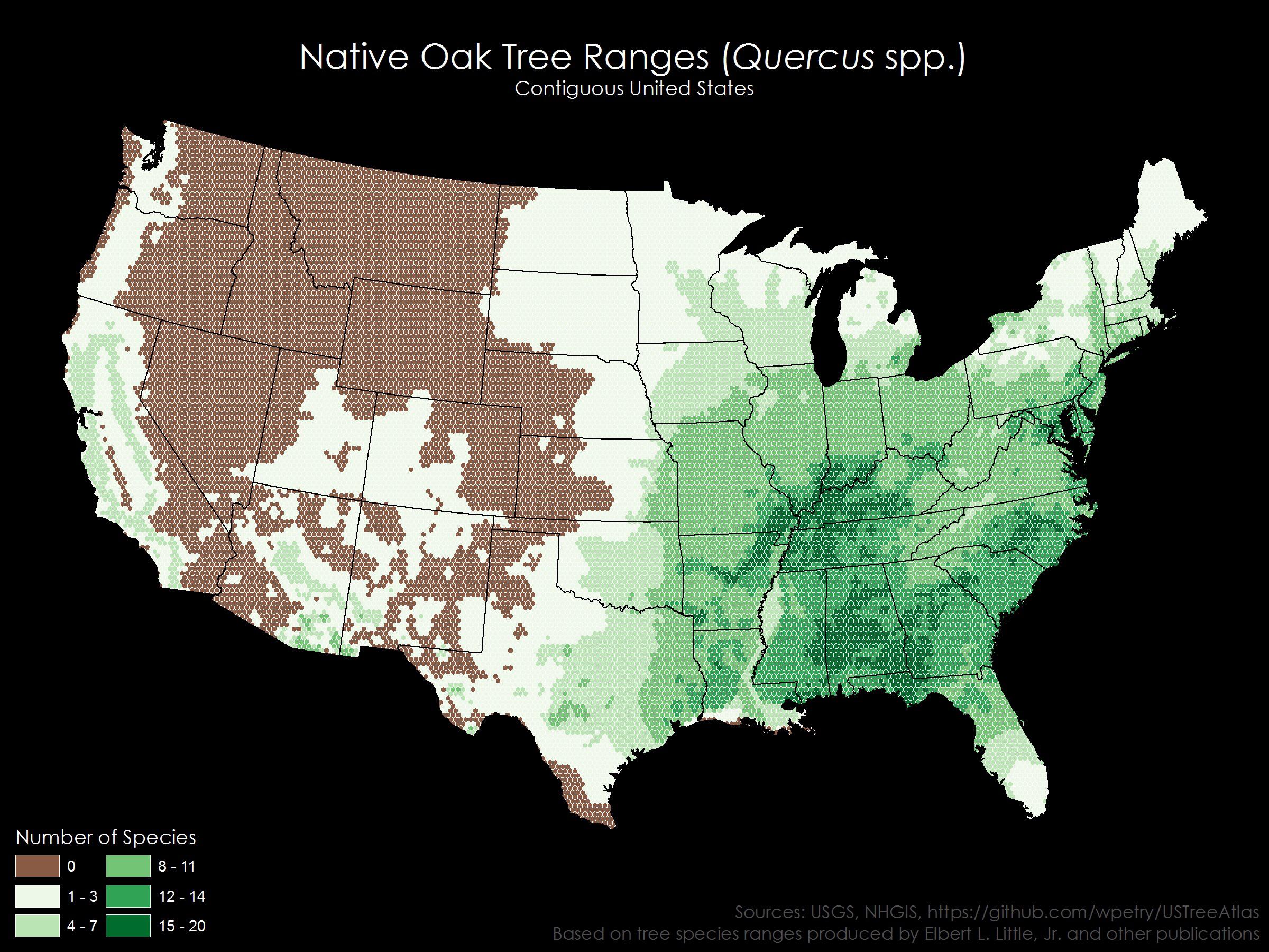 four oak tree areas map