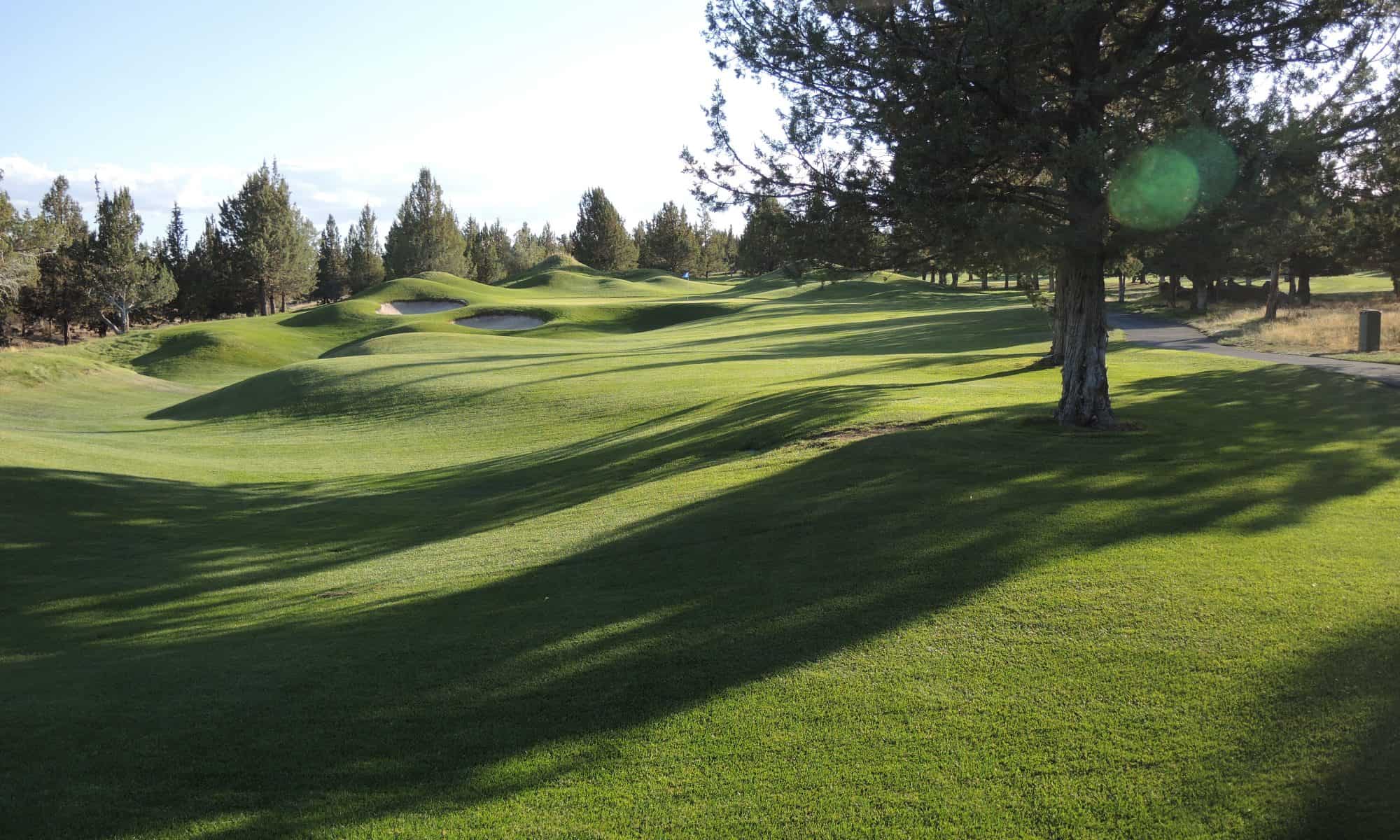 golf course fairway