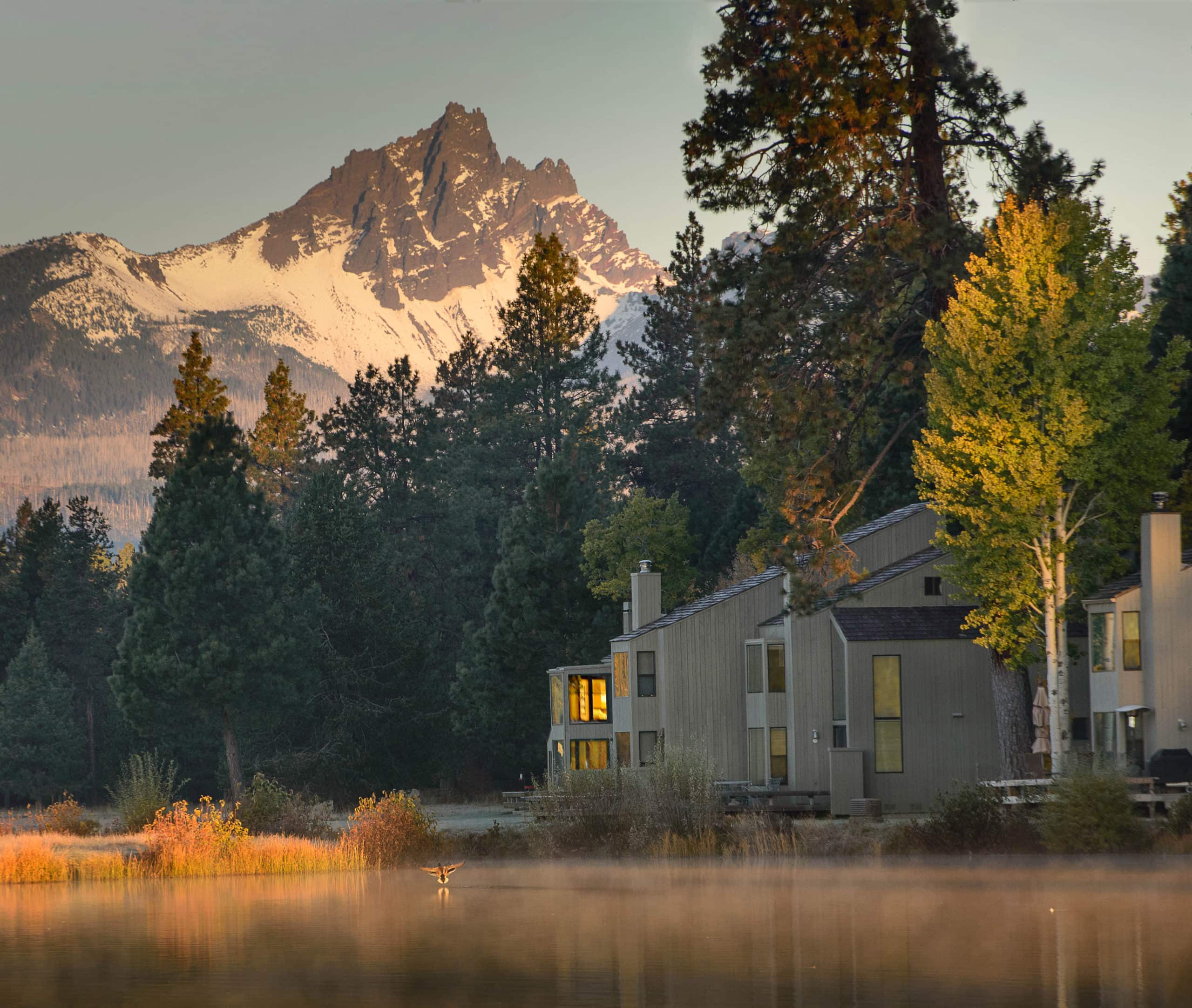 hoa dues utilities
