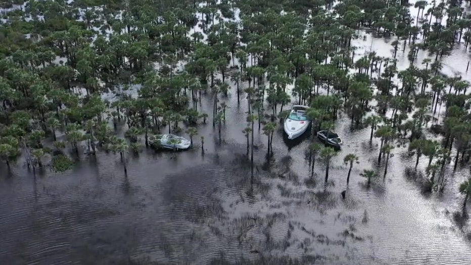 hurricane helene storm surge
