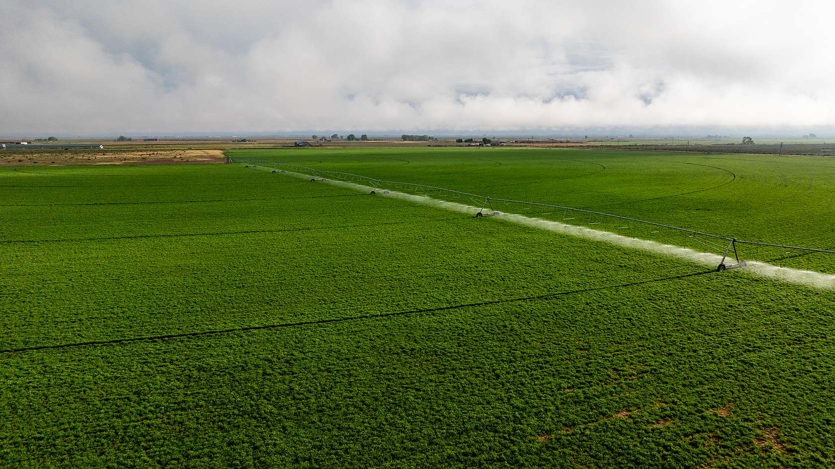 irrigated farmland San Luis Valley