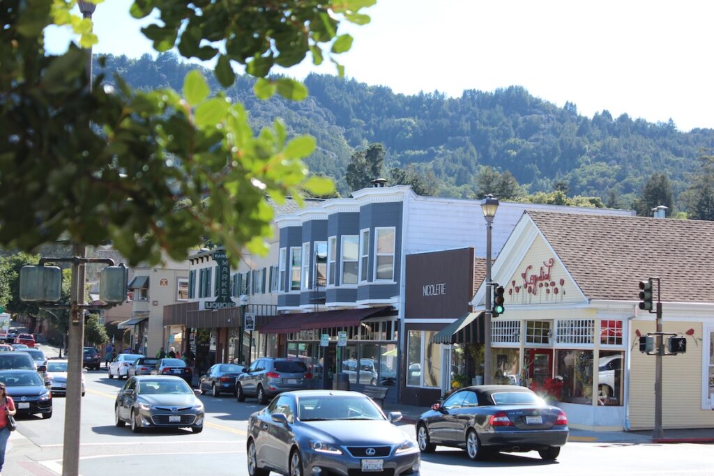 larkspur town overview