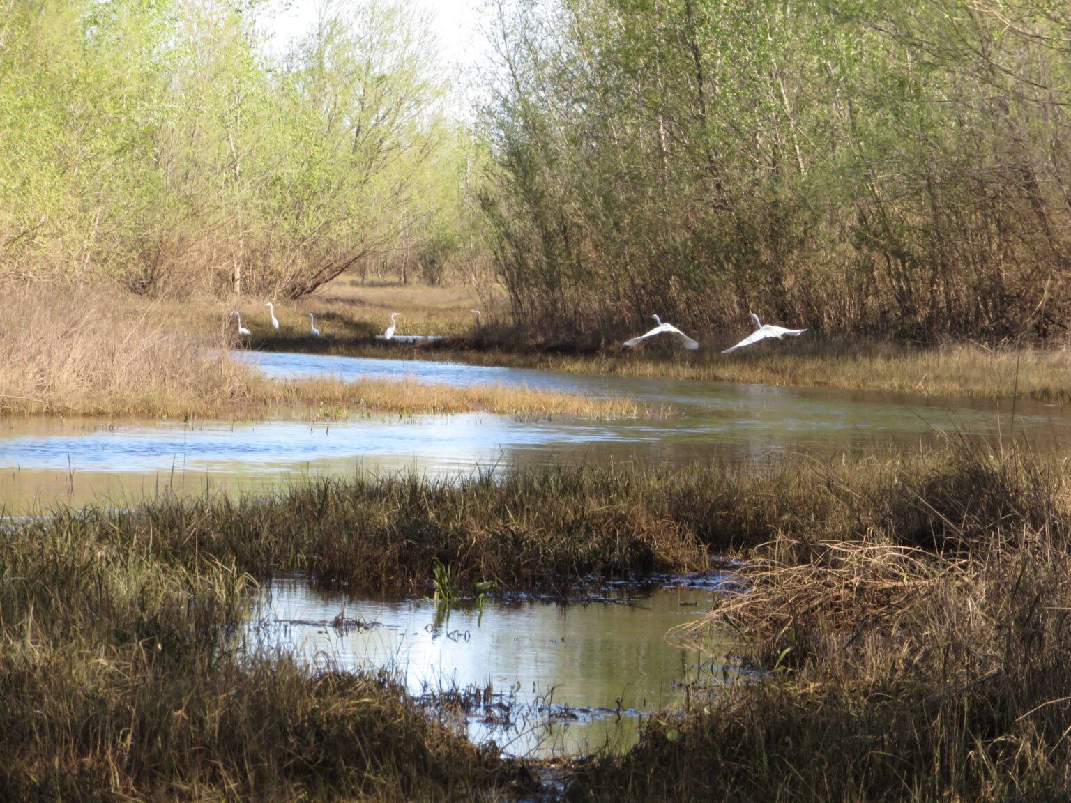 levee river bear river