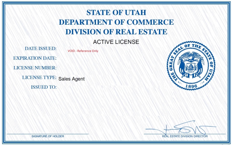 license lookup verification