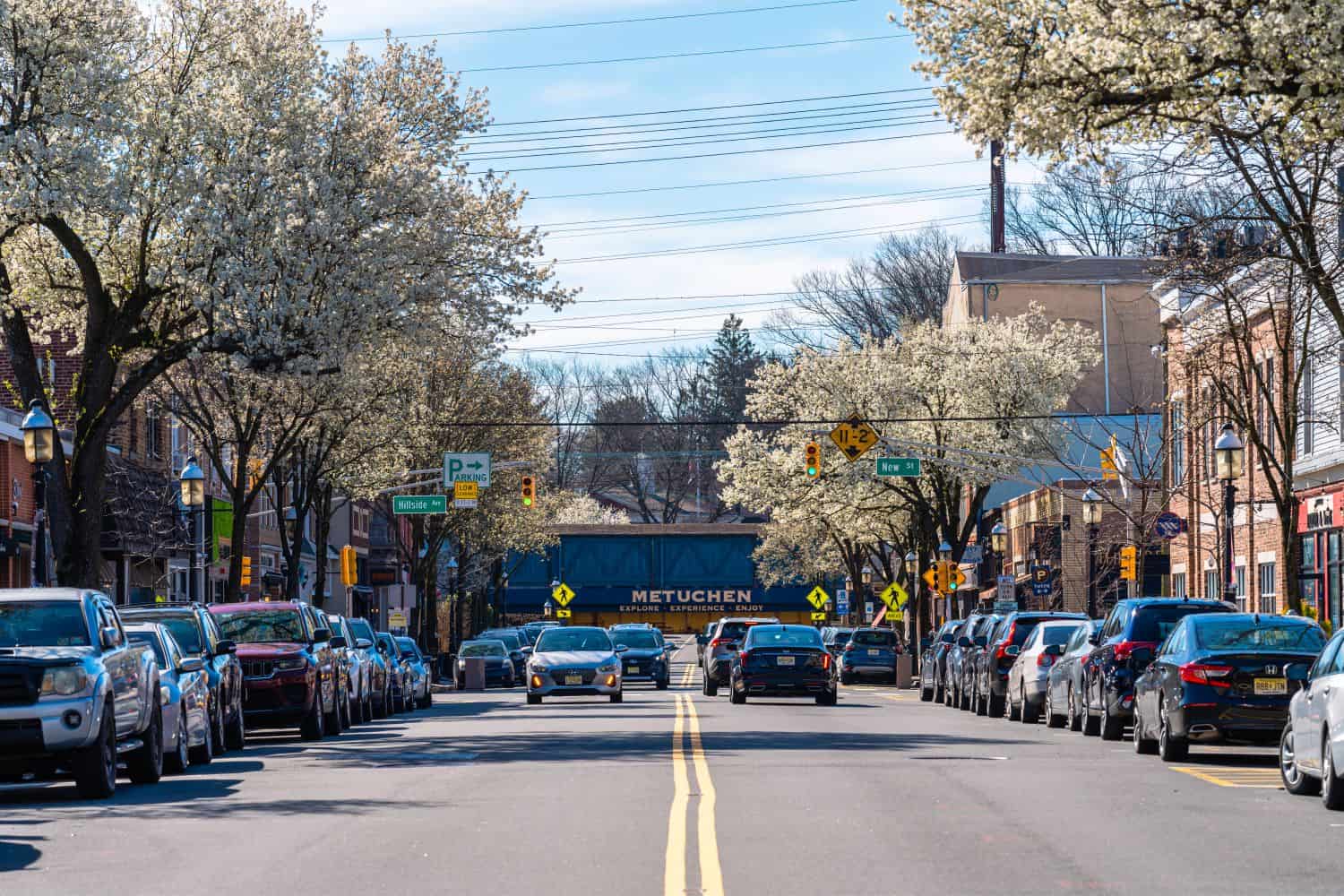 metuchen neighborhood streets