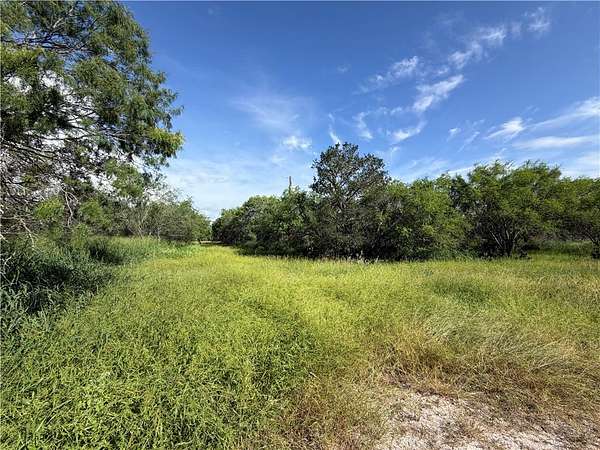 mineral rights Texas ranch land
