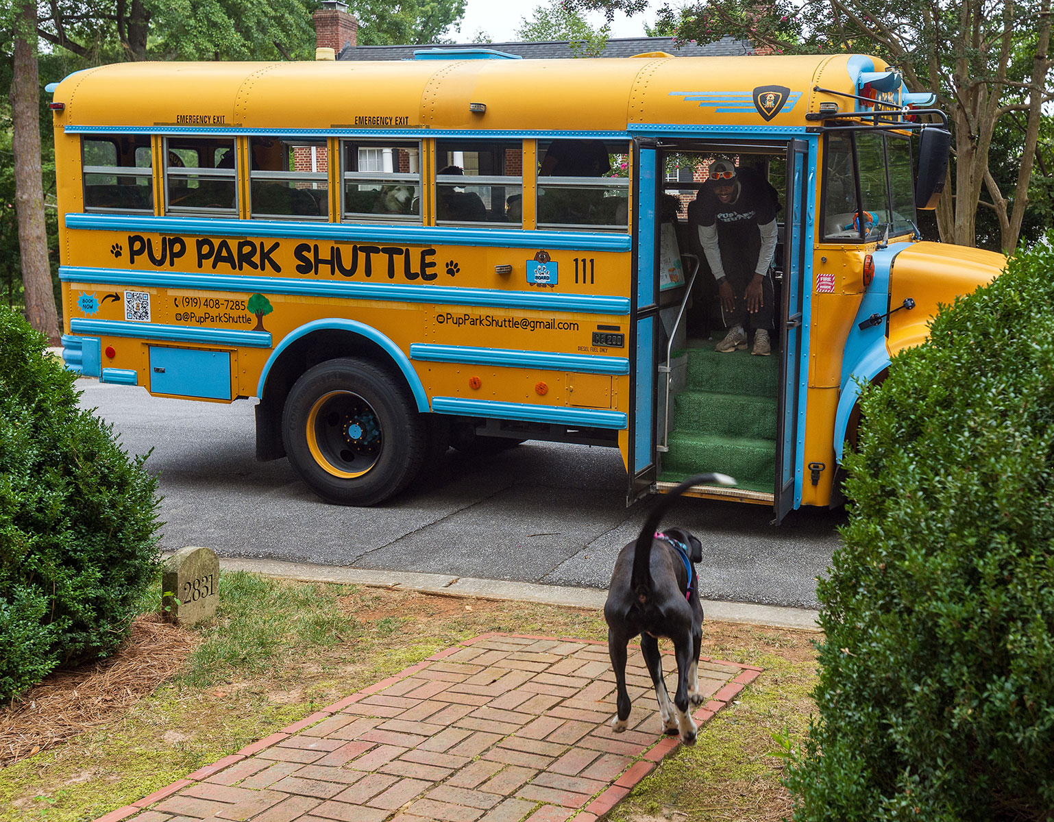pet spa dog park shuttle