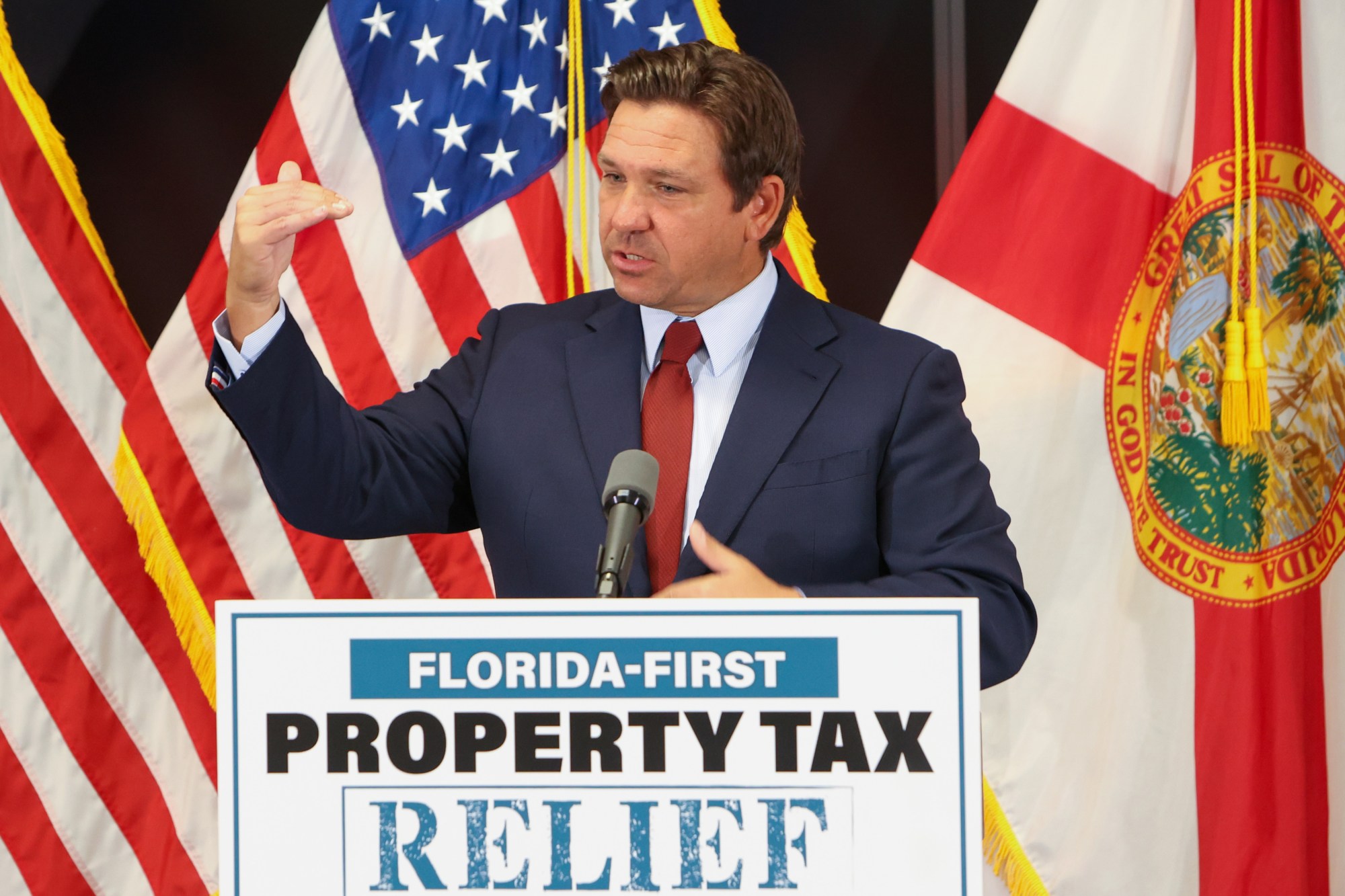 property tax homestead