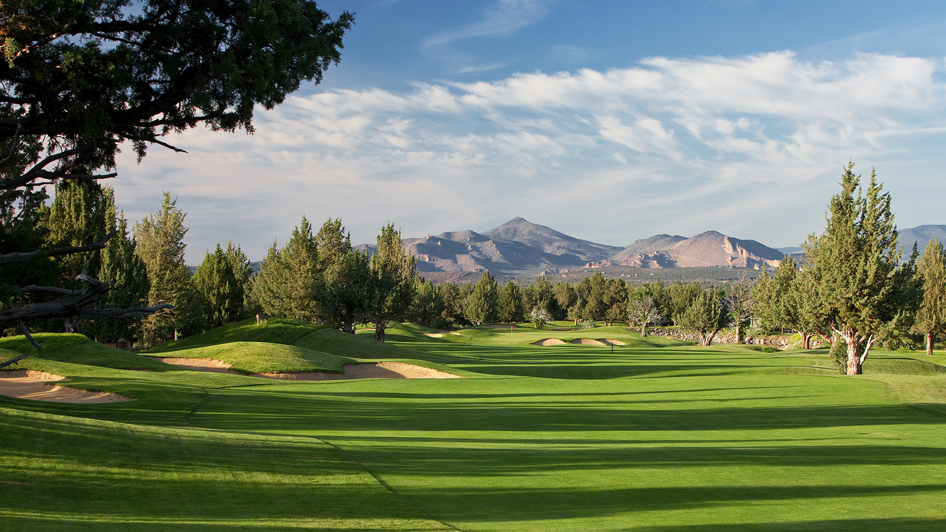 retiree golfer investor