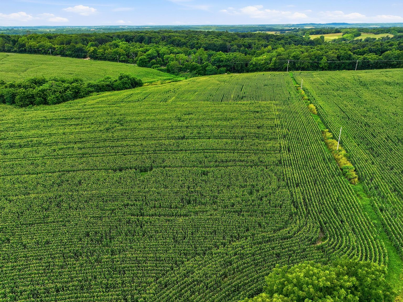 rural land price factors