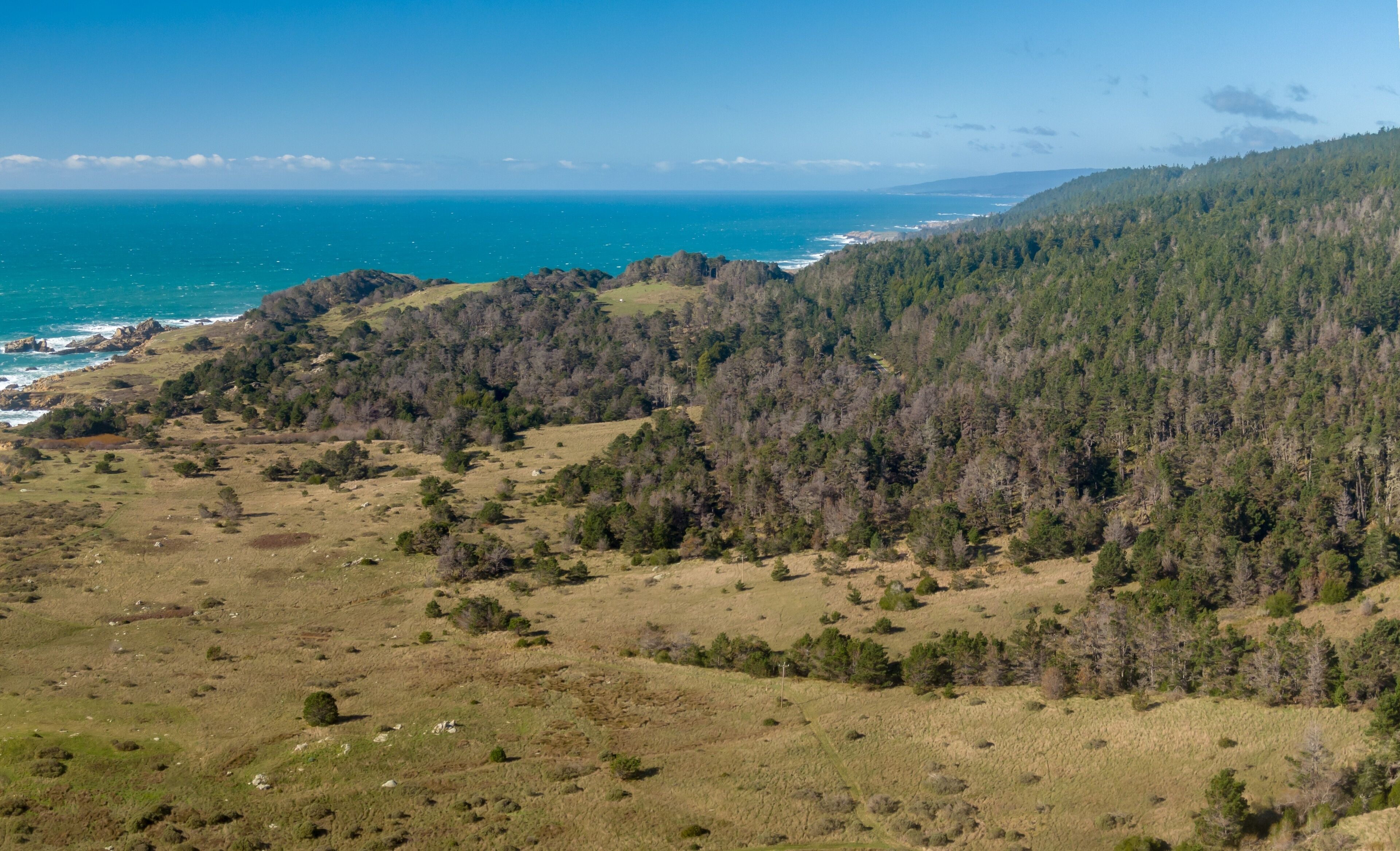 selling Cazadero disclosure