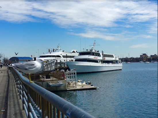 sheepshead bay waterfront