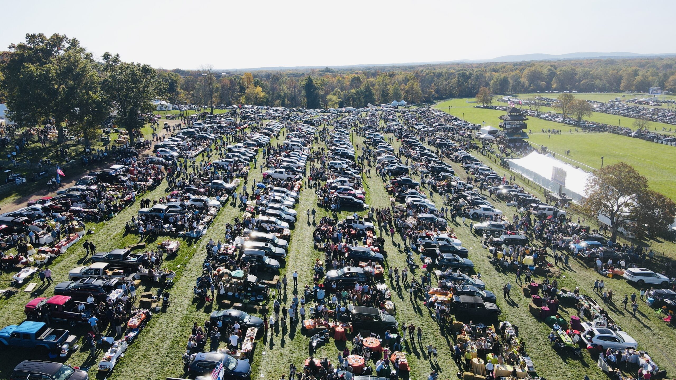 steeplechase horse race