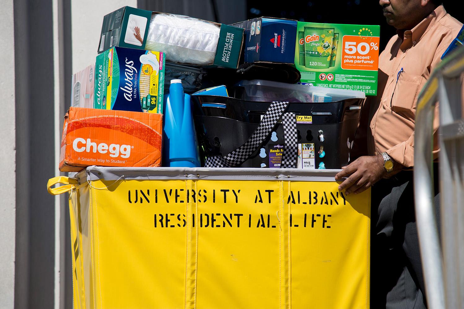 suny albany move in timing
