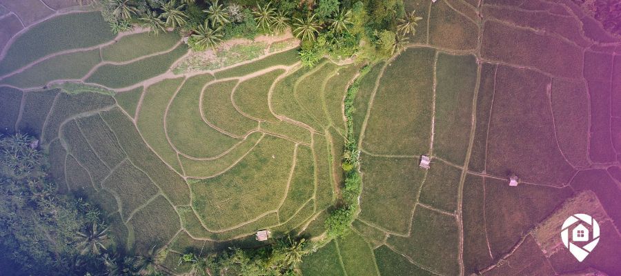 tax deed auction risk
