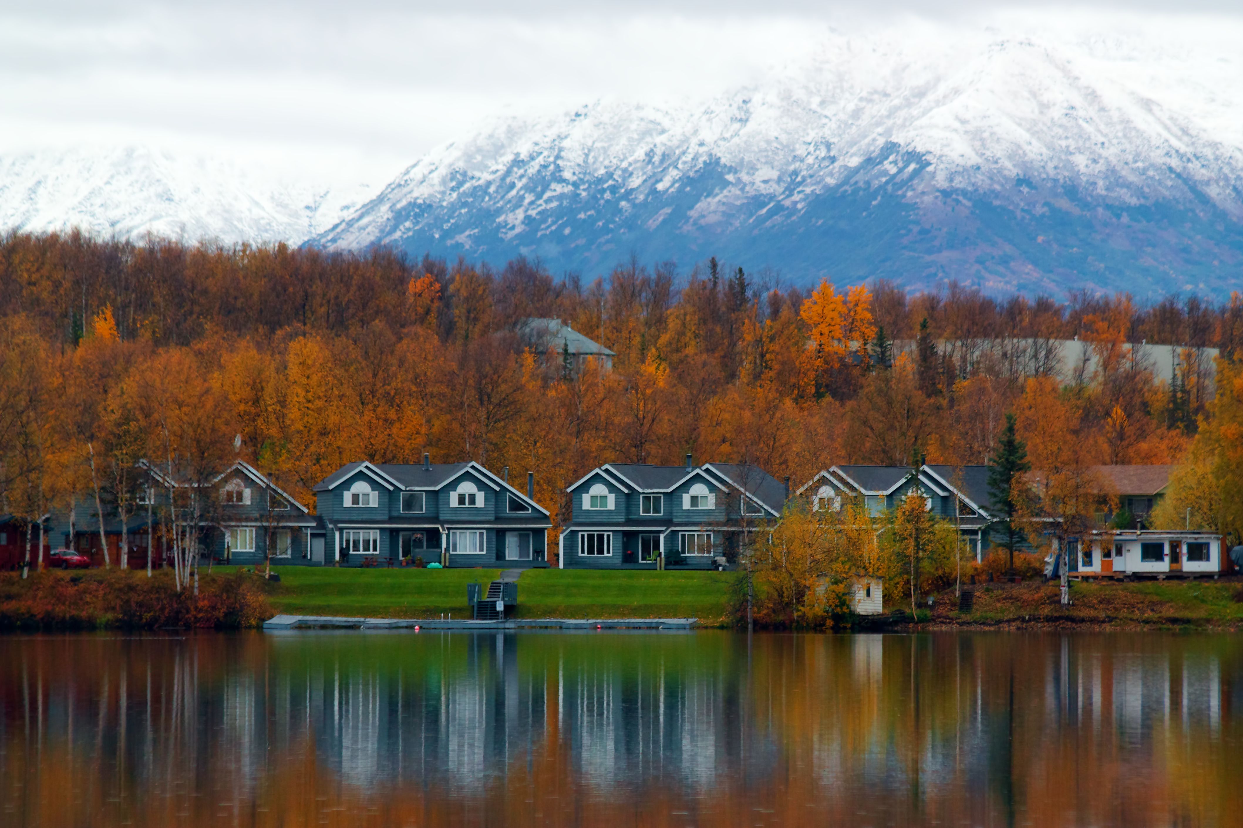 wasilla buyer decision