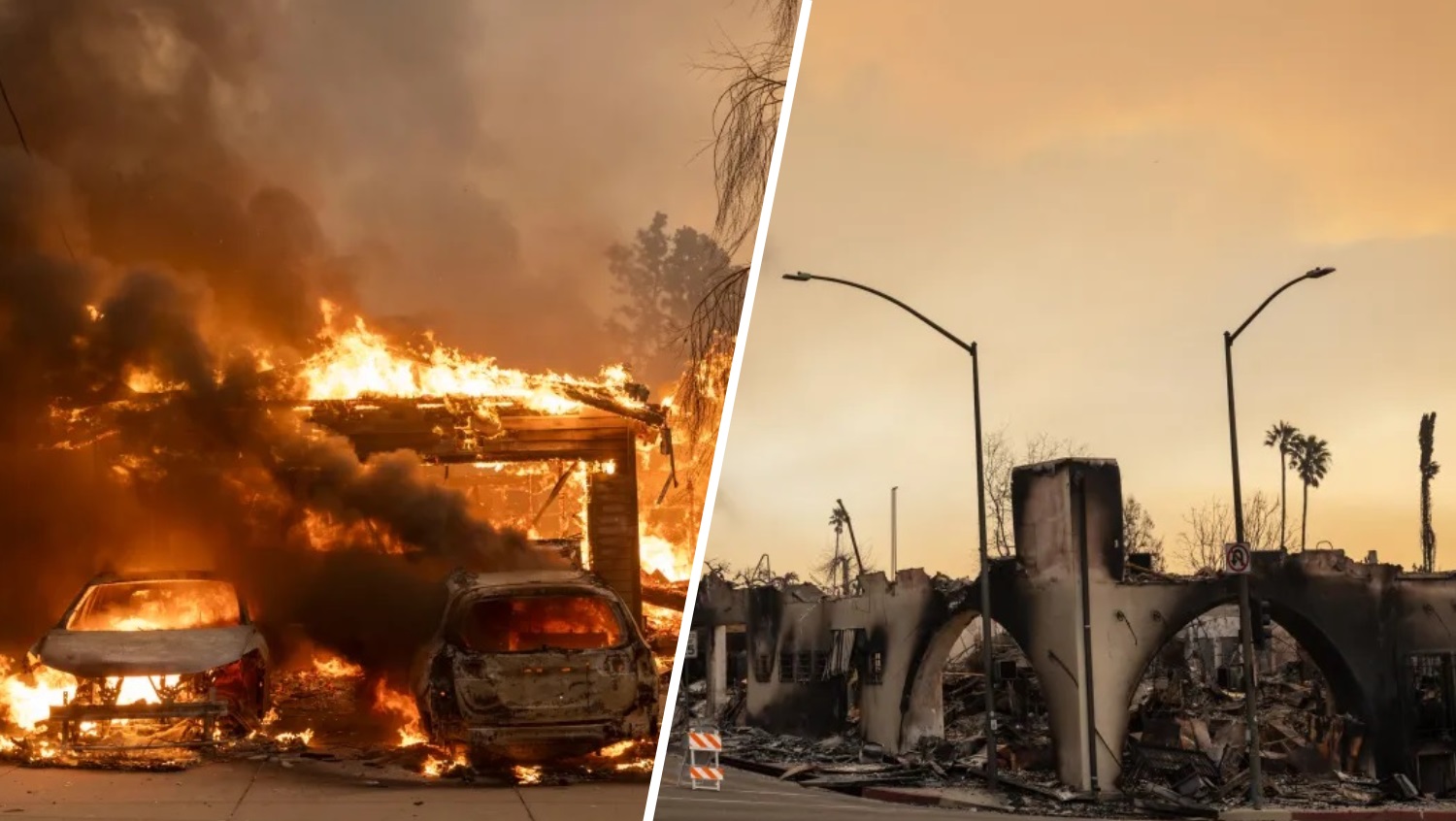 wildfire price gouging cap