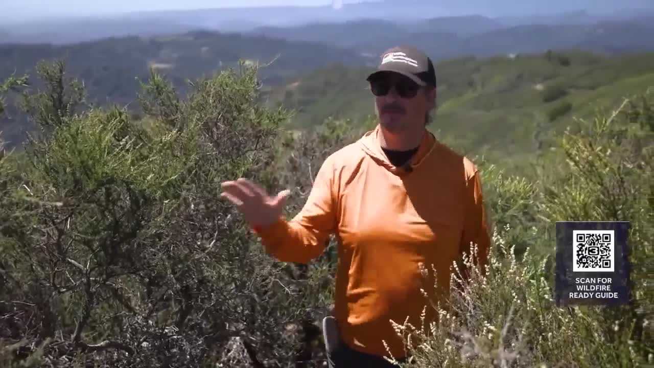 wildfire rainfall fuel load