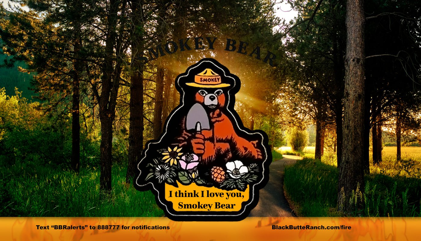 wildfire risk forest