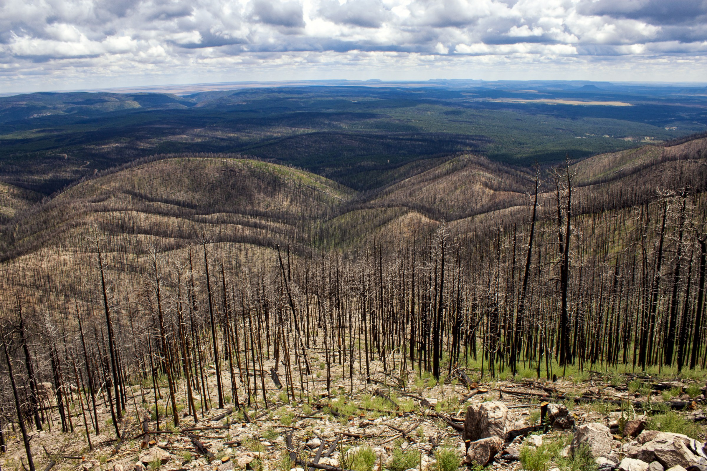 wildfire risk mountain terrain