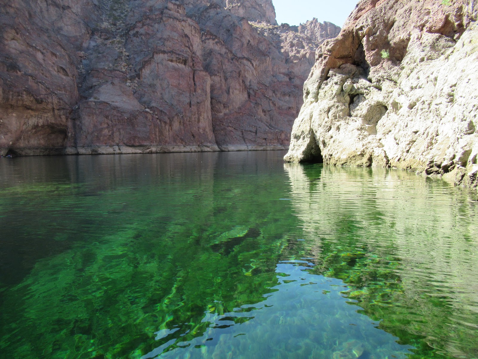 willow beach marina colorado river