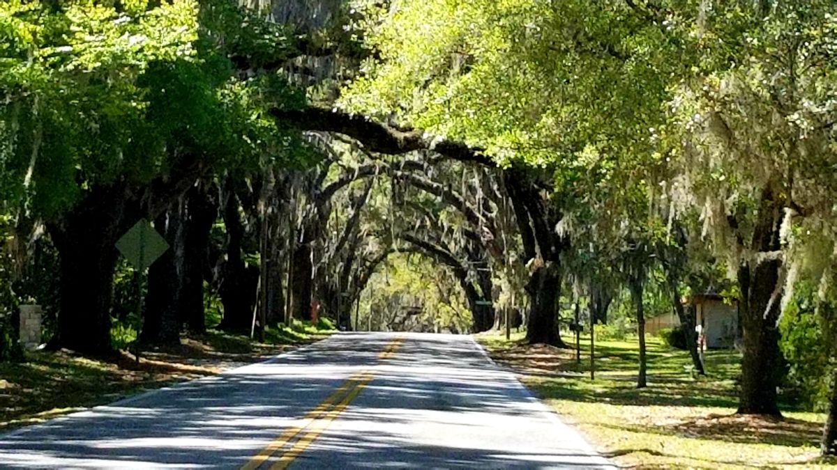 withlacoochee state trail bikers